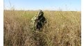 Маскировочный халат Taganrog Кикимора – купить по цене 3550 руб. в интернет-магазине в городе Пенза картинка 13