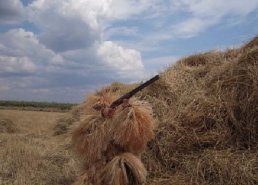 Маскировочная одежда для охоты в интернет-магазине в Пензе, купить маскировочную сеть с доставкой картинка 28